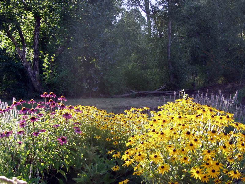 Charles Seha Professional Landscape Designer in Rochester, Minnesota -  Plants, gardens, horticulture for Homes and Businesses