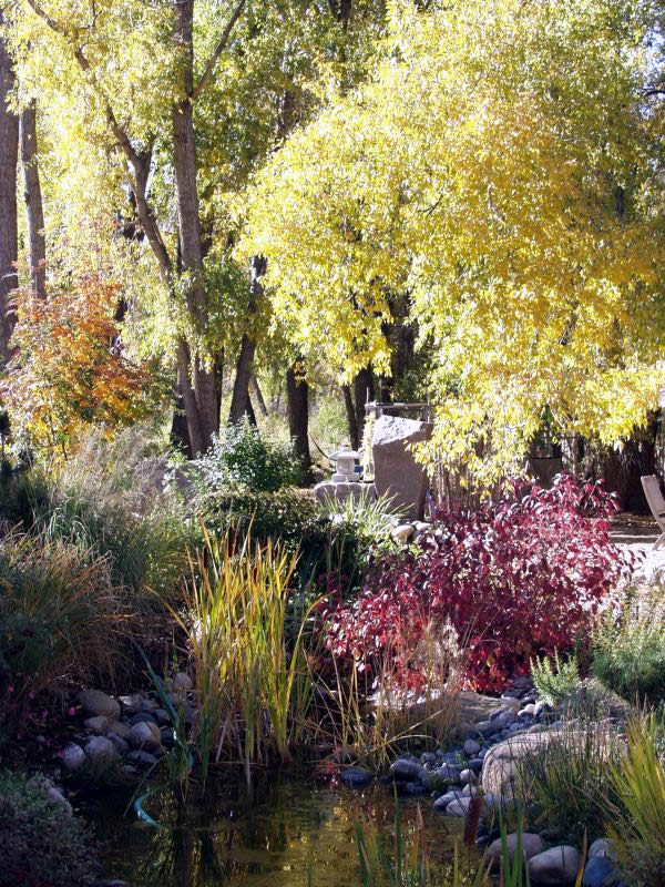 Charles Seha Professional Landscape Designer in Rochester, Minnesota -  Plants, gardens, horticulture for Homes and Businesses